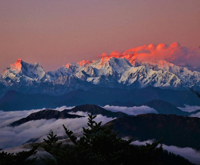 {"id":7,"activity_id":6,"destination_id":1,"title":"Kanchenjunga Trek","alias":"kanchenjunga-trek","overview":"<p><strong>Kanchenjunga Trek <\/strong>is a challenging, isolated hiking path in Nepal's far east, offering stunning views, diverse landscapes, rich culture, and wildlife. It starts in Kathmandu and passes through the <a href=\"\/makalu-region-trekking\">Kanchenjunga Conservation&nbsp;Area.<\/a> Best during late April, May, September, and November. During these months, the weather is generally clear, allowing trekkers to fully appreciate the breathtaking views of the Kanchenjunga mountain range. The diverse landscapes encountered along the trek include lush forests, alpine meadows, and pristine glacial valleys. Additionally, the trek provides an opportunity to immerse oneself in the unique culture of the local communities as well as spot rare wildlife such as the elusive snow leopard and red panda.Kanchenjunga TrekK&nbsp;is a once-in-a-lifetime experience that offers not only natural beauty but also a chance to connect with the rich traditions and customs of the indigenous people. As you make your way through the villages, you will be greeted with warm smiles and hospitality, as the locals are known for their friendliness and welcoming nature. You can take part in cultural ceremonies, taste traditional cuisine, and learn about their ancient beliefs and practices. The trek also provides ample opportunities for wildlife enthusiasts, as the region is home to a wide variety of rare and endangered species. With each step you take, you may catch a glimpse of elusive snow leopards, majestic Himalayan monals, or even the rare red panda.<\/p>\r\n<p><strong>The local guides and experts <\/strong>will be more than happy to share their knowledge and point out these remarkable creatures. Additionally, the trek offers breathtaking views of snow-capped peaks, crystal-clear lakes, and lush valleys, leaving you in awe of nature's wonders. Whether you are an adventure seeker, a culture enthusiast, or a nature lover, this trek is an extraordinary journey that will leave a lasting impression on your heart and soul.<\/p>","cost_includes":"<ul>\r\n<li>Airport\/ hotel pick up and drop off by private vehicle<\/li>\r\n<li>Hotels in Kathmandu, inclusive of breakfast<\/li>\r\n<li>Three Times Meals during the trek<\/li>\r\n<li>Government licensed, experienced English speaking guide<\/li>\r\n<li>One porter per two people<\/li>\r\n<li>Food, accommodation, salary, insurance, equipment, and medicine for all staff.<\/li>\r\n<li>All government taxes<\/li>\r\n<li>One trekking map per person<\/li>\r\n<li>Kanchenjunga permit and conservation fee<\/li>\r\n<li>Sleeping bags and down jackets for the trek (should be refunded after the trek)<\/li>\r\n<li>Surface transportation<\/li>\r\n<li>First aid kit<\/li>\r\n<li>Domestic flight tickets KTM&ndash;BDR\/Suketa<\/li>\r\n<li>Fresh fruit during the trek<\/li>\r\n<li>Marsh bar and snicker 1 pic each day during the trek<\/li>\r\n<\/ul>\r\n<p><quillbot-extension-portal><\/quillbot-extension-portal><\/p>\r\n<p><quillbot-extension-portal><\/quillbot-extension-portal><\/p>\r\n<p><quillbot-extension-portal><\/quillbot-extension-portal><\/p>\r\n<p><quillbot-extension-portal><\/quillbot-extension-portal><\/p>\r\n<p><quillbot-extension-portal><\/quillbot-extension-portal><\/p>\r\n<p><quillbot-extension-portal><\/quillbot-extension-portal><\/p>\r\n<p><quillbot-extension-portal><\/quillbot-extension-portal><\/p>\r\n<p><quillbot-extension-portal><\/quillbot-extension-portal><\/p>\r\n<p><quillbot-extension-portal><\/quillbot-extension-portal><\/p>\r\n<p><quillbot-extension-portal><\/quillbot-extension-portal><\/p>\r\n<p><quillbot-extension-portal><\/quillbot-extension-portal><\/p>","cost_excludes":"<ul>\r\n<li>Travel and rescue insurance<\/li>\r\n<li>Beverage bills, bar bills, and personal expenses<\/li>\r\n<li>Nepal entry visa<\/li>\r\n<li>Tips for guide, porter, and driver<\/li>\r\n<li>Extra day Kathmandu Hotel<\/li>\r\n<li>Excess baggage charges (if you have more than 10 kg of luggage, a cargo charge is around $1.5 per kg)<\/li>\r\n<li>Extra night accommodation in Kathmandu because of early arrival, late departure, early return from mountain (due to any reason) than the scheduled itinerary<\/li>\r\n<li>Lunch and evening meals in Kathmandu (and also in the case of early return from the mountain than the scheduled itinerary)<\/li>\r\n<li>Optional trips and sightseeing if extended<\/li>\r\n<\/ul>\r\n<p><quillbot-extension-portal><\/quillbot-extension-portal><\/p>\r\n<p><quillbot-extension-portal><\/quillbot-extension-portal><\/p>\r\n<p><quillbot-extension-portal><\/quillbot-extension-portal><\/p>\r\n<p><quillbot-extension-portal><\/quillbot-extension-portal><\/p>\r\n<p><quillbot-extension-portal><\/quillbot-extension-portal><\/p>\r\n<p><quillbot-extension-portal><\/quillbot-extension-portal><\/p>\r\n<p><quillbot-extension-portal><\/quillbot-extension-portal><\/p>\r\n<p><quillbot-extension-portal><\/quillbot-extension-portal><\/p>\r\n<p><quillbot-extension-portal><\/quillbot-extension-portal><\/p>\r\n<p><quillbot-extension-portal><\/quillbot-extension-portal><\/p>\r\n<p><quillbot-extension-portal><\/quillbot-extension-portal><\/p>","trip_highlights":"<ul>\r\n<li style=\"text-align: left;\">Get to Kanchenjunga&rsquo;s southern base camp at 4600m above sea level<\/li>\r\n<li style=\"text-align: left;\">Gaze at the world&rsquo;s third tallest mountain Kanchenjunga 8586m<\/li>\r\n<li style=\"text-align: left;\">Discover around 3000 species of alpine floras<\/li>\r\n<li style=\"text-align: left;\">Experience the wilderness of pristine Kanchenjunga conservation area<\/li>\r\n<li class=\"first-sentence-half\" style=\"text-align: left;\"><span props=\"[object Object]\" class=\"css-guq32d\"><span id=\"editable-content-within-article~0~0~0\" class=\"css-1f8sqii\">The<span>&nbsp;<\/span><\/span><\/span><span props=\"[object Object]\" class=\"css-guq32d\"><span id=\"editable-content-within-article~0~1~0\" class=\"css-1f8sqii\">Kanchenjunga<span>&nbsp;<\/span><\/span><\/span><span props=\"[object Object]\" class=\"css-guq32d\"><span id=\"editable-content-within-article~0~2~0\" class=\"css-1f8sqii\">Trek<span>&nbsp;<\/span><\/span><\/span><span props=\"[object Object]\" class=\"css-guq32d\"><span id=\"editable-content-within-article~0~3~0\" class=\"css-1f8sqii\">is<span>&nbsp;<\/span><\/span><span id=\"editable-content-within-article~0~3~1\" class=\"css-1f8sqii\">a<span>&nbsp;<\/span><\/span><\/span><span props=\"[object Object]\" class=\"css-guq32d\"><span id=\"editable-content-within-article~0~4~0\" class=\"css-278qcu\">challenging<span>&nbsp;<\/span><\/span><\/span><span props=\"[object Object]\" class=\"css-guq32d\"><span id=\"editable-content-within-article~0~5~0\" class=\"css-ima1mg\">and<span>&nbsp;<\/span><\/span><\/span><span props=\"[object Object]\" class=\"css-guq32d\"><span id=\"editable-content-within-article~0~6~0\" class=\"css-278qcu\">isolated<span>&nbsp;<\/span><\/span><\/span><span props=\"[object Object]\" class=\"css-guq32d\"><span id=\"editable-content-within-article~0~7~0\" class=\"css-278qcu\">hiking<span>&nbsp;<\/span><\/span><\/span><span props=\"[object Object]\" class=\"css-guq32d\"><span id=\"editable-content-within-article~0~8~0\" class=\"css-278qcu\">path<span>&nbsp;<\/span><\/span><\/span><span props=\"[object Object]\" class=\"css-guq32d\"><span id=\"editable-content-within-article~0~9~0\" class=\"css-ima1mg\">in<span>&nbsp;<\/span><\/span><\/span><span props=\"[object Object]\" class=\"css-guq32d\"><span id=\"editable-content-within-article~0~10~0\" class=\"css-ima1mg\">Nepal's<span>&nbsp;<\/span><\/span><\/span><span props=\"[object Object]\" class=\"css-guq32d\"><span id=\"editable-content-within-article~0~11~0\" class=\"css-ima1mg\">far<span>&nbsp;<\/span><\/span><\/span><span props=\"[object Object]\" class=\"css-guq32d\"><span id=\"editable-content-within-article~0~12~0\" class=\"css-ima1mg\">east.<span>&nbsp;<\/span><\/span><\/span><span id=\"article-sentence0\" class=\"article-sentence\" draggable=\"false\"><span id=\"editable-content-within-article~0\" data-testid=\"pphr\/output_editable_content\" class=\"css-x5hiaf\"><\/span><\/span><\/li>\r\n<li class=\"first-sentence-half\" style=\"text-align: left;\"><span props=\"[object Object]\" class=\"css-guq32d\"><span id=\"editable-content-within-article~1~0~0\" class=\"css-ima1mg\">This<span>&nbsp;<\/span><\/span><\/span><span props=\"[object Object]\" class=\"css-guq32d\"><span id=\"editable-content-within-article~1~1~0\" class=\"css-278qcu\">journey<span>&nbsp;<\/span><\/span><\/span><span props=\"[object Object]\" class=\"css-guq32d\"><span id=\"editable-content-within-article~1~2~0\" class=\"css-278qcu\">provides<span>&nbsp;<\/span><\/span><\/span><span props=\"[object Object]\" class=\"css-guq32d\"><span id=\"editable-content-within-article~1~3~0\" class=\"css-ima1mg\">breathtaking<span>&nbsp;<\/span><\/span><\/span><span props=\"[object Object]\" class=\"css-guq32d\"><span id=\"editable-content-within-article~1~4~0\" class=\"css-278qcu\">vistas<span>&nbsp;<\/span><\/span><\/span><span props=\"[object Object]\" class=\"css-guq32d\"><span id=\"editable-content-within-article~1~5~0\" class=\"css-ima1mg\">of<span>&nbsp;<\/span><\/span><\/span><span props=\"[object Object]\" class=\"css-guq32d\"><span id=\"editable-content-within-article~1~6~0\" class=\"css-278qcu\">towering<span>&nbsp;<\/span><\/span><\/span><span props=\"[object Object]\" class=\"css-guq32d\"><span id=\"editable-content-within-article~1~7~0\" class=\"css-ima1mg\">Himalayan<span>&nbsp;<\/span><\/span><span id=\"editable-content-within-article~1~7~1\" class=\"css-ima1mg\">peaks,<span>&nbsp;<\/span><\/span><\/span><span props=\"[object Object]\" class=\"css-guq32d\"><span id=\"editable-content-within-article~1~8~0\" class=\"css-278qcu\">unspoiled<span>&nbsp;<\/span><\/span><\/span><span props=\"[object Object]\" class=\"css-guq32d\"><span id=\"editable-content-within-article~1~9~0\" class=\"css-ima1mg\">landscapes,<span>&nbsp;<\/span><\/span><\/span><span props=\"[object Object]\" class=\"css-guq32d\"><span id=\"editable-content-within-article~1~10~0\" class=\"css-ima1mg\">and<span>&nbsp;<\/span><\/span><span id=\"editable-content-within-article~1~10~1\" class=\"css-ima1mg\">a<span>&nbsp;<\/span><\/span><\/span><span props=\"[object Object]\" class=\"css-guq32d\"><span id=\"editable-content-within-article~1~11~0\" class=\"css-278qcu\">distinctive<span>&nbsp;<\/span><\/span><span id=\"editable-content-within-article~1~11~1\" class=\"css-tczsq2\">cultural<span>&nbsp;<\/span><\/span><\/span><span props=\"[object Object]\" class=\"css-guq32d\"><span id=\"editable-content-within-article~1~12~0\" class=\"css-tczsq2\">experience.<span>&nbsp;<\/span><\/span><\/span><\/li>\r\n<li class=\"first-sentence-half\" style=\"text-align: left;\"><span props=\"[object Object]\" class=\"css-guq32d\"><span id=\"editable-content-within-article~2~0~0\" class=\"css-ima1mg\">An<span>&nbsp;<\/span><\/span><\/span><span props=\"[object Object]\" class=\"css-guq32d\"><span id=\"editable-content-within-article~2~1~0\" class=\"css-278qcu\">outline<span>&nbsp;<\/span><\/span><\/span><span props=\"[object Object]\" class=\"css-guq32d\"><span id=\"editable-content-within-article~2~2~0\" class=\"css-1f8sqii\">of<span>&nbsp;<\/span><\/span><span id=\"editable-content-within-article~2~2~1\" class=\"css-1f8sqii\">the<span>&nbsp;<\/span><\/span><\/span><span props=\"[object Object]\" class=\"css-guq32d\"><span id=\"editable-content-within-article~2~3~0\" class=\"css-1f8sqii\">Kanchenjunga<span>&nbsp;<\/span><\/span><\/span><span props=\"[object Object]\" class=\"css-guq32d\"><span id=\"editable-content-within-article~2~4~0\" class=\"css-1f8sqii\">Trek<span>&nbsp;<\/span><\/span><\/span><span props=\"[object Object]\" class=\"css-guq32d\"><span id=\"editable-content-within-article~2~5~0\" class=\"css-278qcu\">is<span>&nbsp;<\/span><\/span><span id=\"editable-content-within-article~2~5~1\" class=\"css-278qcu\">shown<span>&nbsp;<\/span><\/span><span id=\"editable-content-within-article~2~5~2\" class=\"css-278qcu\">below:<\/span><\/span><\/li>\r\n<li style=\"text-align: left;\"><span props=\"[object Object]\" class=\"css-guq32d\"><span id=\"editable-content-within-article~3~0~0\" class=\"css-278qcu\">Beginning<span>&nbsp;<\/span><\/span><\/span><span props=\"[object Object]\" class=\"css-guq32d\"><span id=\"editable-content-within-article~3~1~0\" class=\"css-ima1mg\">Point:<span>&nbsp;<\/span><\/span><\/span><span props=\"[object Object]\" class=\"css-x8fsqd\"><span id=\"editable-content-within-article~3~2~0\" class=\"css-vdpl32\">Taplejung,<span>&nbsp;<\/span><\/span><\/span><span props=\"[object Object]\" class=\"css-guq32d\"><span id=\"editable-content-within-article~3~3~0\" class=\"css-1f8sqii\">a<span>&nbsp;<\/span><\/span><\/span><span props=\"[object Object]\" class=\"css-guq32d\"><span id=\"editable-content-within-article~3~4~0\" class=\"css-1f8sqii\">town<span>&nbsp;<\/span><\/span><\/span><span props=\"[object Object]\" class=\"css-guq32d\"><span id=\"editable-content-within-article~3~5~0\" class=\"css-1f8sqii\">in<span>&nbsp;<\/span><\/span><\/span><span props=\"[object Object]\" class=\"css-guq32d\"><span id=\"editable-content-within-article~3~6~0\" class=\"css-ima1mg\">Nepal's<span>&nbsp;<\/span><\/span><\/span><span props=\"[object Object]\" class=\"css-guq32d\"><span id=\"editable-content-within-article~3~7~0\" class=\"css-ima1mg\">east,<span>&nbsp;<\/span><\/span><\/span><span props=\"[object Object]\" class=\"css-guq32d\"><span id=\"editable-content-within-article~3~8~0\" class=\"css-278qcu\">is<span>&nbsp;<\/span><\/span><span id=\"editable-content-within-article~3~8~1\" class=\"css-278qcu\">often<span>&nbsp;<\/span><\/span><span id=\"editable-content-within-article~3~8~2\" class=\"css-278qcu\">where<span>&nbsp;<\/span><\/span><\/span><span props=\"[object Object]\" class=\"css-guq32d\"><span id=\"editable-content-within-article~3~9~0\" class=\"css-ima1mg\">the<span>&nbsp;<\/span><\/span><\/span><span props=\"[object Object]\" class=\"css-guq32d\"><span id=\"editable-content-within-article~3~10~0\" class=\"css-278qcu\">journey<span>&nbsp;<\/span><\/span><span id=\"editable-content-within-article~3~10~1\" class=\"css-278qcu\">begins.<span>&nbsp;<\/span><\/span><\/span><span id=\"article-sentence3\" class=\"article-sentence\" draggable=\"false\"><span id=\"editable-content-within-article~3\" data-testid=\"pphr\/output_editable_content\" class=\"css-x5hiaf\"><\/span><\/span><\/li>\r\n<li class=\"first-sentence-half\" style=\"text-align: left;\"><span props=\"[object Object]\" class=\"css-guq32d\"><span id=\"editable-content-within-article~4~0~0\" class=\"css-tczsq2\">From<span>&nbsp;<\/span><\/span><\/span><span props=\"[object Object]\" class=\"css-guq32d\"><span id=\"editable-content-within-article~4~1~0\" class=\"css-tczsq2\">Kathmandu,<span>&nbsp;<\/span><\/span><\/span><span props=\"[object Object]\" class=\"css-x8fsqd\"><span id=\"editable-content-within-article~4~2~0\" class=\"css-qz9gs3\">Taplejung<span>&nbsp;<\/span><\/span><\/span><span props=\"[object Object]\" class=\"css-guq32d\"><span id=\"editable-content-within-article~4~3~0\" class=\"css-1dxrq2c\">may<span>&nbsp;<\/span><\/span><span id=\"editable-content-within-article~4~3~1\" class=\"css-tczsq2\">be<span>&nbsp;<\/span><\/span><\/span><span props=\"[object Object]\" class=\"css-guq32d\"><span id=\"editable-content-within-article~4~4~0\" class=\"css-1dxrq2c\">accessed<span>&nbsp;<\/span><\/span><\/span><span props=\"[object Object]\" class=\"css-guq32d\"><span id=\"editable-content-within-article~4~5~0\" class=\"css-tczsq2\">by<span>&nbsp;<\/span><\/span><\/span><span props=\"[object Object]\" class=\"css-guq32d\"><span id=\"editable-content-within-article~4~6~0\" class=\"css-1dxrq2c\">taking<span>&nbsp;<\/span><\/span><span id=\"editable-content-within-article~4~6~1\" class=\"css-tczsq2\">a<span>&nbsp;<\/span><\/span><span id=\"editable-content-within-article~4~6~2\" class=\"css-tczsq2\">flight<span>&nbsp;<\/span><\/span><\/span><span props=\"[object Object]\" class=\"css-guq32d\"><span id=\"editable-content-within-article~4~7~0\" class=\"css-tczsq2\">and<span>&nbsp;<\/span><\/span><span id=\"editable-content-within-article~4~7~1\" class=\"css-tczsq2\">an<span>&nbsp;<\/span><\/span><\/span><span props=\"[object Object]\" class=\"css-guq32d\"><span id=\"editable-content-within-article~4~8~0\" class=\"css-tczsq2\">overland<span>&nbsp;<\/span><\/span><\/span><span props=\"[object Object]\" class=\"css-guq32d\"><span id=\"editable-content-within-article~4~9~0\" class=\"css-1dxrq2c\">journey.<\/span><\/span><\/li>\r\n<li class=\"first-sentence-half\" style=\"text-align: left;\"><span props=\"[object Object]\" class=\"css-guq32d\"><span id=\"editable-content-within-article~5~2~0\" class=\"css-ima1mg\">The<span>&nbsp;<\/span><\/span><\/span><span props=\"[object Object]\" class=\"css-guq32d\"><span id=\"editable-content-within-article~5~3~0\" class=\"css-278qcu\">route<span>&nbsp;<\/span><\/span><span id=\"editable-content-within-article~5~3~1\" class=\"css-278qcu\">passes<span>&nbsp;<\/span><\/span><\/span><span props=\"[object Object]\" class=\"css-guq32d\"><span id=\"editable-content-within-article~5~4~0\" class=\"css-ima1mg\">through<span>&nbsp;<\/span><\/span><span id=\"editable-content-within-article~5~4~1\" class=\"css-278qcu\">this<span>&nbsp;<\/span><\/span><\/span><span props=\"[object Object]\" class=\"css-guq32d\"><span id=\"editable-content-within-article~5~5~0\" class=\"css-278qcu\">biodiverse<span>&nbsp;<\/span><\/span><\/span><span props=\"[object Object]\" class=\"css-guq32d\"><span id=\"editable-content-within-article~5~6~0\" class=\"css-ima1mg\">area,<span>&nbsp;<\/span><\/span><\/span><span props=\"[object Object]\" class=\"css-guq32d\"><span id=\"editable-content-within-article~5~7~0\" class=\"css-ima1mg\">which<span>&nbsp;<\/span><\/span><span id=\"editable-content-within-article~5~7~1\" class=\"css-ima1mg\">is<span>&nbsp;<\/span><\/span><\/span><span props=\"[object Object]\" class=\"css-guq32d\"><span id=\"editable-content-within-article~5~8~0\" class=\"css-ima1mg\">home<span>&nbsp;<\/span><\/span><\/span><span props=\"[object Object]\" class=\"css-guq32d\"><span id=\"editable-content-within-article~5~9~0\" class=\"css-ima1mg\">to<span>&nbsp;<\/span><\/span><span id=\"editable-content-within-article~5~9~1\" class=\"css-ima1mg\">a<span>&nbsp;<\/span><\/span><\/span><span props=\"[object Object]\" class=\"css-guq32d\"><span id=\"editable-content-within-article~5~10~0\" class=\"css-278qcu\">variety<span>&nbsp;<\/span><\/span><span id=\"editable-content-within-article~5~10~1\" class=\"css-278qcu\">of<span>&nbsp;<\/span><\/span><span id=\"editable-content-within-article~5~10~2\" class=\"css-278qcu\">plants<span>&nbsp;<\/span><\/span><span id=\"editable-content-within-article~5~10~3\" class=\"css-ima1mg\">and<span>&nbsp;<\/span><\/span><span id=\"editable-content-within-article~5~10~4\" class=\"css-278qcu\">animals,<span>&nbsp;<\/span><\/span><\/span><span props=\"[object Object]\" class=\"css-guq32d\"><span id=\"editable-content-within-article~5~11~0\" class=\"css-1f8sqii\">including<span>&nbsp;<\/span><\/span><span id=\"editable-content-within-article~5~11~1\" class=\"css-1f8sqii\">the<span>&nbsp;<\/span><\/span><\/span><span props=\"[object Object]\" class=\"css-guq32d\"><span id=\"editable-content-within-article~5~12~0\" class=\"css-1f8sqii\">red<span>&nbsp;<\/span><\/span><span id=\"editable-content-within-article~5~12~1\" class=\"css-1f8sqii\">panda<span>&nbsp;<\/span><\/span><\/span><span props=\"[object Object]\" class=\"css-guq32d\"><span id=\"editable-content-within-article~5~13~0\" class=\"css-1f8sqii\">and<span>&nbsp;<\/span><\/span><\/span><span props=\"[object Object]\" class=\"css-x8fsqd\"><span id=\"editable-content-within-article~5~14~0\" class=\"css-vdpl32\">snow<span>&nbsp;<\/span><\/span><span id=\"editable-content-within-article~5~14~1\" class=\"css-vdpl32\">leopard.<\/span><\/span><\/li>\r\n<li class=\"first-sentence-half\" style=\"text-align: left;\"><span props=\"[object Object]\" class=\"css-guq32d\"><span id=\"editable-content-within-article~6~0~0\" class=\"css-278qcu\">Distant<span>&nbsp;<\/span><\/span><\/span><span props=\"[object Object]\" class=\"css-guq32d\"><span id=\"editable-content-within-article~6~1~0\" class=\"css-acv5hh\">and<span>&nbsp;<\/span><\/span><\/span><span props=\"[object Object]\" class=\"css-guq32d\"><span id=\"editable-content-within-article~6~2~0\" class=\"css-acv5hh\">Untouched<span>&nbsp;<\/span><\/span><\/span><span props=\"[object Object]\" class=\"css-guq32d\"><span id=\"editable-content-within-article~6~3~0\" class=\"css-acv5hh\">Landscapes:<span>&nbsp;<\/span><\/span><\/span><span props=\"[object Object]\" class=\"css-guq32d\"><span id=\"editable-content-within-article~6~4~0\" class=\"css-x722s5\">Because<span>&nbsp;<\/span><\/span><\/span><span props=\"[object Object]\" class=\"css-guq32d\"><span id=\"editable-content-within-article~6~5~0\" class=\"css-278qcu\">fewer<span>&nbsp;<\/span><\/span><\/span><span props=\"[object Object]\" class=\"css-guq32d\"><span id=\"editable-content-within-article~6~6~0\" class=\"css-278qcu\">hikers<span>&nbsp;<\/span><\/span><\/span><span props=\"[object Object]\" class=\"css-guq32d\"><span id=\"editable-content-within-article~6~7~0\" class=\"css-278qcu\">visit<span>&nbsp;<\/span><\/span><\/span><span props=\"[object Object]\" class=\"css-guq32d\"><span id=\"editable-content-within-article~6~8~0\" class=\"css-acv5hh\">the<span>&nbsp;<\/span><\/span><\/span><span props=\"[object Object]\" class=\"css-guq32d\"><span id=\"editable-content-within-article~6~9~0\" class=\"css-acv5hh\">Kanchenjunga<span>&nbsp;<\/span><\/span><\/span><span props=\"[object Object]\" class=\"css-guq32d\"><span id=\"editable-content-within-article~6~10~0\" class=\"css-278qcu\">area.<\/span><\/span><span id=\"article-sentence6\" class=\"article-sentence\" draggable=\"false\"><span id=\"editable-content-within-article~6\" data-testid=\"pphr\/output_editable_content\" class=\"css-x5hiaf\"><\/span><\/span><\/li>\r\n<\/ul>\r\n<p><quillbot-extension-portal><\/quillbot-extension-portal><\/p>\r\n<p><quillbot-extension-portal><\/quillbot-extension-portal><\/p>\r\n<p><quillbot-extension-portal><\/quillbot-extension-portal><\/p>\r\n<p><quillbot-extension-portal><\/quillbot-extension-portal><\/p>\r\n<p><quillbot-extension-portal><\/quillbot-extension-portal><\/p>\r\n<p><quillbot-extension-portal><\/quillbot-extension-portal><\/p>","trip_benefits":"","trip_equipments":"<ul>\r\n<li>Day pack (25&ndash;35 liters)<\/li>\r\n<li>Pack cover<\/li>\r\n<li>Sleeping bag comfortable to -10 to -20 Degree(dependent upon season, weather forecast, and personal preference) optional<\/li>\r\n<li>Waterproof and comfortable hiking boots<\/li>\r\n<li>Camp shoes (down booties or running shoes)<\/li>\r\n<li>Headlight with extra batteries<\/li>\r\n<li>Trekking poles<\/li>\r\n<li>Trekking Clothing(3 pair t-shirt,2 pairs trousers or trekking pants,<\/li>\r\n<li>Wicking, quick-dry boxers or briefs (3)<\/li>\r\n<li>Wicking, quick-dry sports bra (for women)<\/li>\r\n<li>Heavyweight long underwear bottoms<\/li>\r\n<li>Mid-weight long underwear bottoms<\/li>\r\n<li>Mid-weight long underwear top<\/li>\r\n<li>Wool or synthetic T-shirts (2)<\/li>\r\n<li>Mid-weight fleece or soft-shell jacket (2)<\/li>\r\n<li>Convertible hiking pants<\/li>\r\n<li>Fleece pants or insulated pants<\/li>\r\n<li>waterproof\/windproof jackets<\/li>\r\n<li>Lightweight waterproof\/breathable rain pants<\/li>\r\n<li>Mid-weight fleece gloves or wool gloves<\/li>\r\n<li>Liner gloves<\/li>\r\n<li>Mid-weight fleece\/wool winter hat<\/li>\r\n<li>Sun hat<\/li>\r\n<li>Mid-weight wool or synthetic socks (3 pairs)<\/li>\r\n<li>Liner socks (optional)<\/li>\r\n<li>Sunglasses<\/li>\r\n<li>Sun lotion 35 to 50<\/li>\r\n<li>Water Bottle<\/li>\r\n<li>Water filter<\/li>\r\n<li>Slippers<\/li>\r\n<li>Towels<\/li>\r\n<li>Raincoat<\/li>\r\n<li>Personal medicine kits<\/li>\r\n<\/ul>\r\n<p><quillbot-extension-portal><\/quillbot-extension-portal><\/p>\r\n<p><quillbot-extension-portal><\/quillbot-extension-portal><\/p>\r\n<p><quillbot-extension-portal><\/quillbot-extension-portal><\/p>\r\n<p><quillbot-extension-portal><\/quillbot-extension-portal><\/p>\r\n<p><quillbot-extension-portal><\/quillbot-extension-portal><\/p>\r\n<p><quillbot-extension-portal><\/quillbot-extension-portal><\/p>\r\n<p><quillbot-extension-portal><\/quillbot-extension-portal><\/p>\r\n<p><quillbot-extension-portal><\/quillbot-extension-portal><\/p>\r\n<p><quillbot-extension-portal><\/quillbot-extension-portal><\/p>\r\n<p><quillbot-extension-portal><\/quillbot-extension-portal><\/p>\r\n<p><quillbot-extension-portal><\/quillbot-extension-portal><\/p>","faq":null,"useful_info":"","transportation":"Plane, Jeep, Car","trip_meals":"Breakfast, Lunch & Dinner","trip_accommodation":"Hotel, Guest House, Tea House","group_size":"1 - 10","discount":10,"duration":14,"cost":"{\"1\":\"1800\",\"2\":\"1700\",\"6\":\"1500\",\"10\":\"1300\"}","thumbnail":194,"trek_hours":null,"trip_altitude":4500,"trip_best_season":"March - May, October - November","fitness_ability":null,"difficulty":"1","trip_start_from":"Kathmandu","trip_end_at":"Kathmandu","specialist_name":null,"specialist_email":null,"specialist_phone":null,"currency":"$","trip_video":"cgwKQ69OX0c","trip_map":null,"trip_iframe":"https:\/\/www.google.com\/maps\/d\/u\/0\/embed?mid=1Of4iSl8lqB7mp_3PHTar7bo_yRJOBrY&ehbc=2E312F","views":984,"year_trip":1,"best_selling":1,"fixed_departure_trip":1,"recommended_trekking":0,"new_opened_trip":0,"featured":1,"addons":null,"status":1,"seo":"{\"ogtitle\":\"Kanchenjunga  Trek\",\"ogkey\":\"Kanchenjunga  Trek, Kanchenjunga base camp trek, trip Nepal, travel Nepal,Kanchenjunga  Circuit trek\",\"ogdesc\":\"Kanchenjunga Trek is a challenging and rewarding adventure that takes hikers to the base camps of Mount Kanchenjunga, the world's third-highest mountain.\"}","created_at":"2022-05-01T10:31:16.000000Z","updated_at":"2024-04-28T23:27:59.000000Z"}